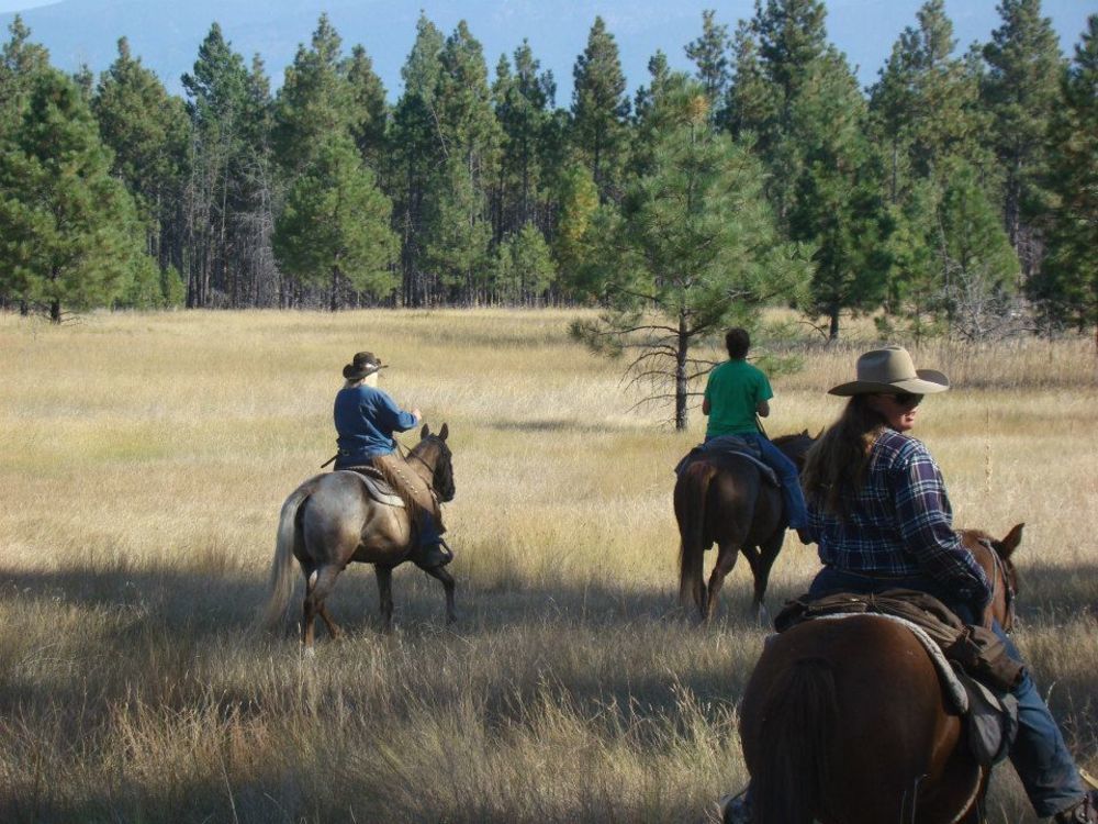 Отель Dream Haven Guest Ranch Мэрион Экстерьер фото